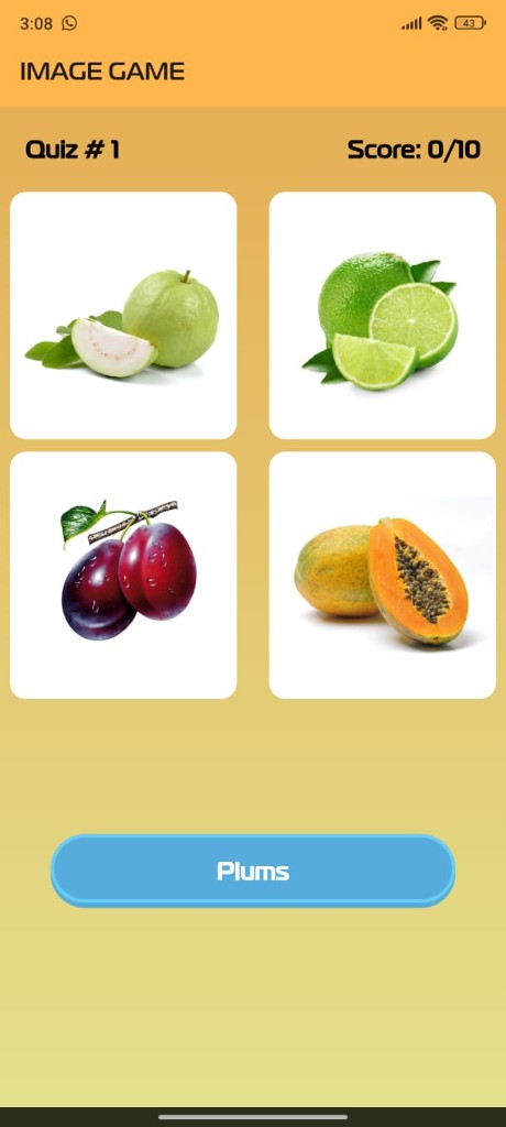 Picture Dictionary image matching quiz game